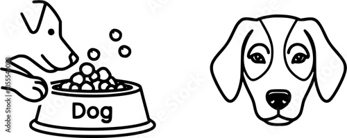 Comprehensive Visual Guide Highlighting Essential Feeding Practices and Balanced Nutritional Care for Domestic Cats and Dogs