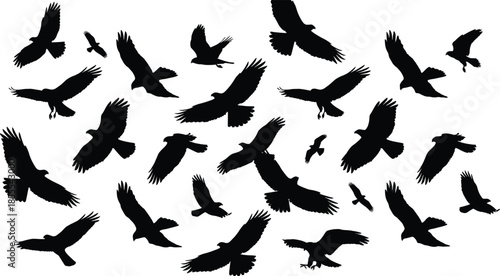 Black flying bird silhouettes flock isolated on white background symbolizing freedom wildlife migration nature concept for design art illustration projects