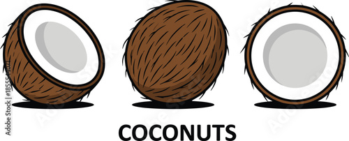 Three Coconuts One Whole and Two Halved on White Background with Text Keywords: coconut, tropical, fruit, brown, hairy, shell