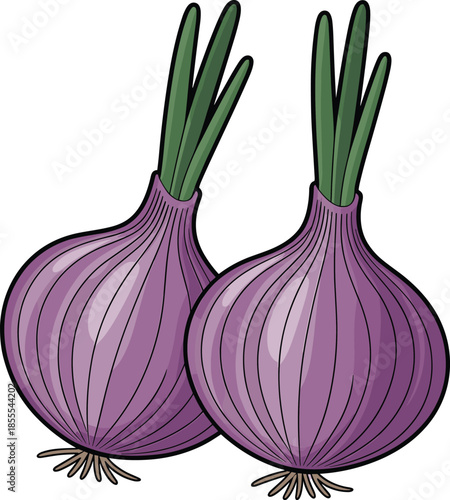 Two purple onions with green sprouts and roots on a white background allium vegetable