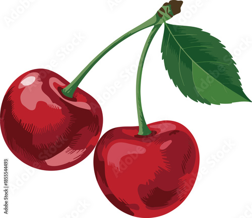Two Ripe Red Cherries with Green Stems and a Leaf on White Background fruit sweet