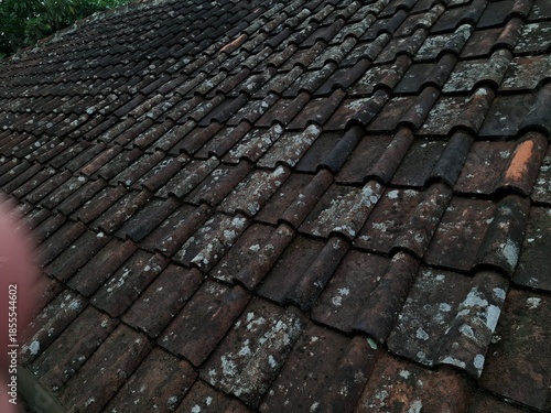 High-angle close-up of traditional dark clay roof tiles showing signs of aging with visible green moss, white lichen, and weathered textures.