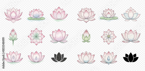 Set of beautiful pink lotus flowers and buds in various styles and stages of bloom.