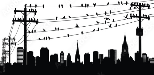 Birds Silhouetted on Power Lines Above a City Skyline Keywords: birds, power lines, electricity, city, skyline, urban