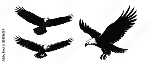 Set of black eagle silhouettes in flight and perched poses - vector icons, minimalist silhouette style