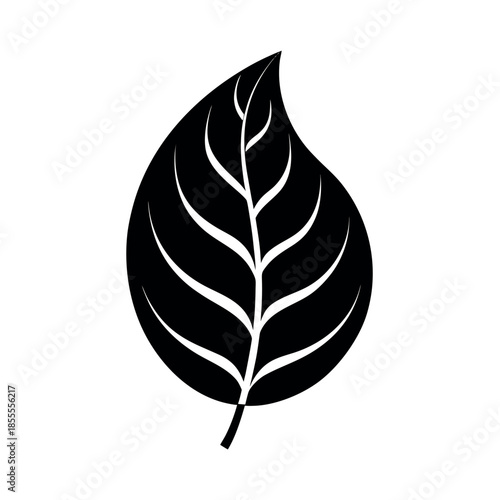 Leaf With A Crescent Vein Vector Illustration