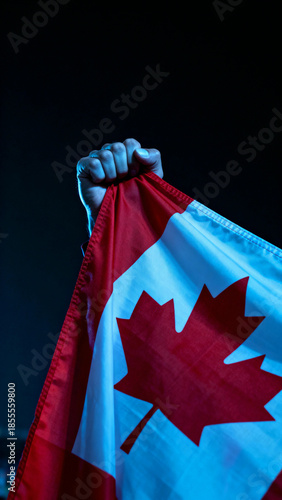 An arm proudly raises the Canadian flag high, its vibrant red and white hues standing out against the deep blue background. The raised flag evokes patriotism and national pride.