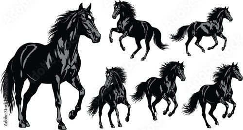Collection of Black Stallion Horse Silhouettes in Various Poses on White Background running