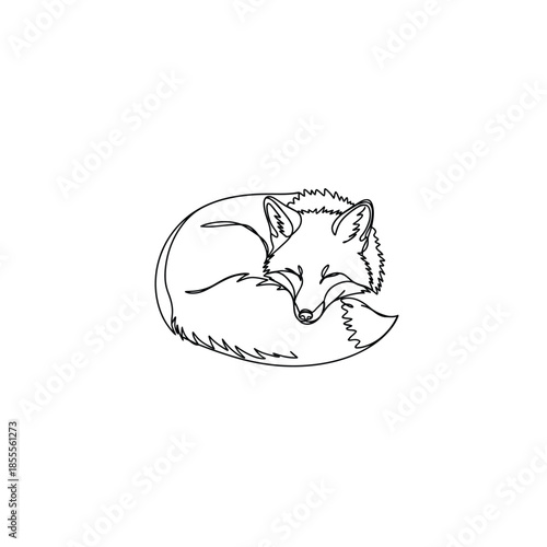 Charming sketch of a sleeping fox curled up