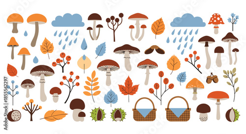 Large collection of autumn forest elements, including various types of mushrooms, colorful fall leaves, berries, and acorns.