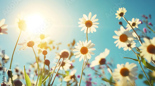 A beautiful floral scene featuring colorful and delicate flowers in a natural setting