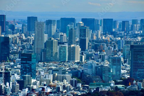 東京都庁からの眺望・都市風景（東京都・新宿区）