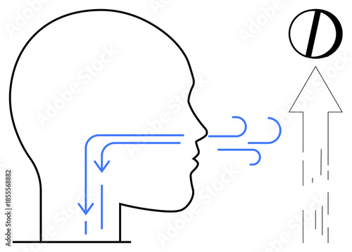 Education, airflow mechanism, respiration, anatomy studies, health science, breathing concepts. Side profile of a head showing airflow arrows leading to an upward path. Education and airflow
