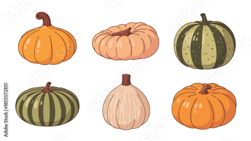 Collection of six colorful and varied pumpkins and gourds in a flat illustration style