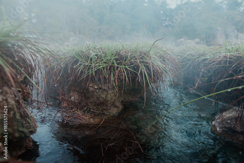 On-sen of Thailand,Fang Hot Spring at National Park in Chiang Mai,Thailand.