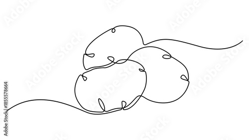 potato continuous one line drawing, Potatoes vector illustration. One line drawing art illustration with lettering organic potatoes. Minimalist vector illustration design style. Editable stroke