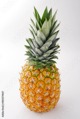 パイナップル　白背景