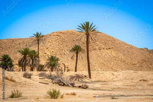 Tunez pais arabe con paisajes y arquitectura africana con desiertos