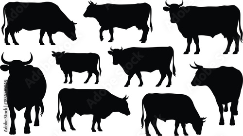 Collection of Black Cow and Bull Silhouettes in Various Poses cattle livestock