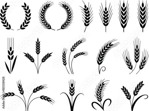 Collection of Wheat Ears and Laurel Wreaths Silhouettes on White Background Keywords: wheat, grain, ear of wheat, cereal
