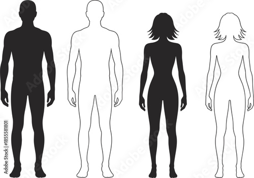 Male and Female Human Silhouettes and Outlines on White Background woman