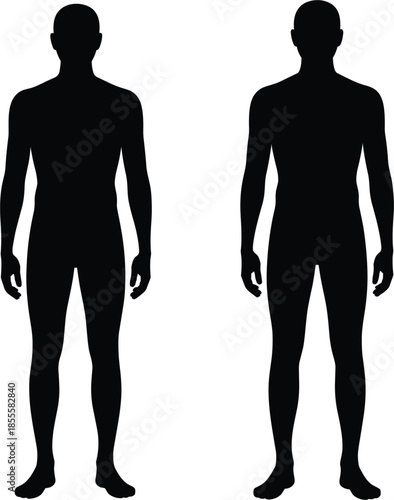 Two Male Human Body Silhouettes Standing Side by Side on White Background vector illustration