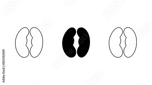 Three stylized outlines of a kidney bean or seed shape