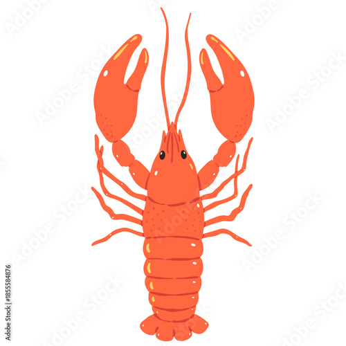 Lobster Illustration