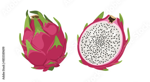 Whole and halved pink dragon fruit with white flesh and black seeds shown in a detailed vector illustration on a white background.