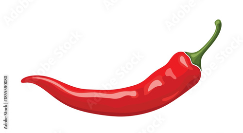 Whole vibrant red chili pepper with a green stem shown in a detailed vector illustration on a clean white background for culinary use.