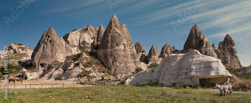 Goreme, Cappadocia, Turkey. Panoramic landscape of iconic fairy chimneys, ancient cave dwellings, and grazing horses. A Turkish flag is visible on a rock.