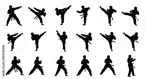 Dynamic collection of flat 2D vector silhouettes showcasing diverse martial arts poses, featuring powerful kicks, defensive blocks, and combat stances for athletic design