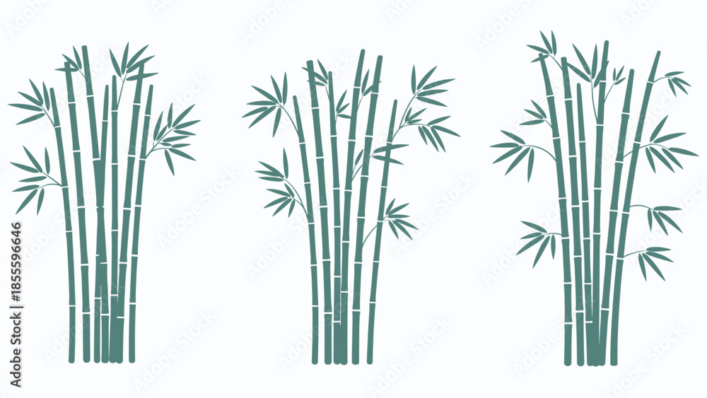 Obraz premium A set of three green bamboo grove silhouettes, illustrating different arrangements of stalks and leaves, isolated on a white background.