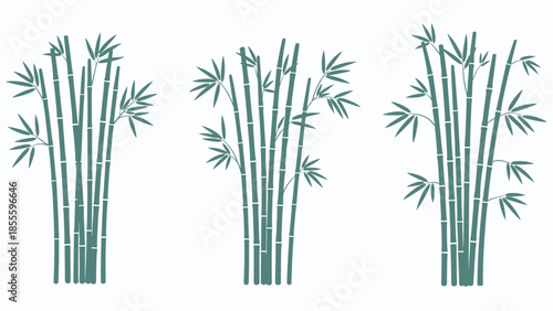 A set of three green bamboo grove silhouettes, illustrating different arrangements of stalks and leaves, isolated on a white background.