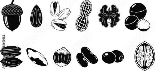 Black and white vector illustration of assorted nuts and seeds including almond, walnut, peanut, pistachio, hazelnut, pecan, acorn, Brazil nut, olive, beans
