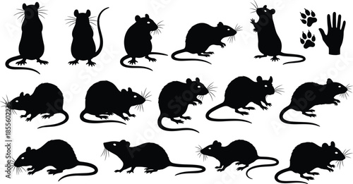 Black rat silhouettes in various poses with paw prints and hand icon, perfect for rodent anatomy, behavior, and pest control themes.