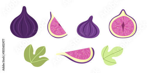 Fig fruit design elements set. Figs in peel, cross-section, slice, and leaf. Simple vector illustration in flat style.