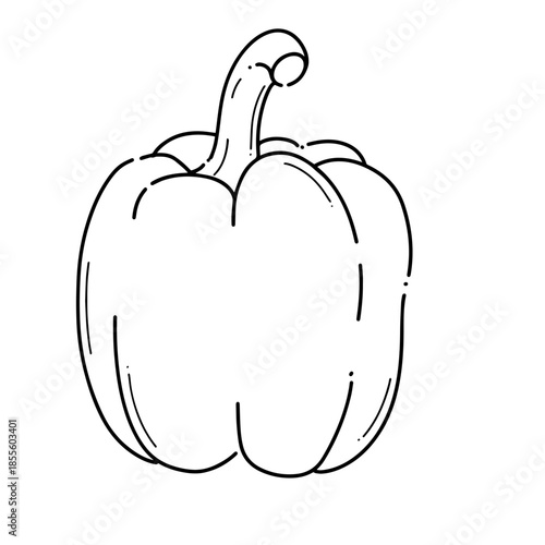 Bell Papper Line Art Illustrasions. Suitable for food graphics, Recipe layouts, Organic product labels, coloring pages, culinary icons, farm designs, and botanical outlines.