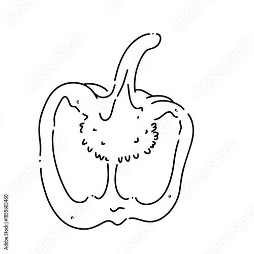 Bell Papper Line Art Illustrasions. Suitable for food graphics, Recipe layouts, Organic product labels, coloring pages, culinary icons, farm designs, and botanical outlines.