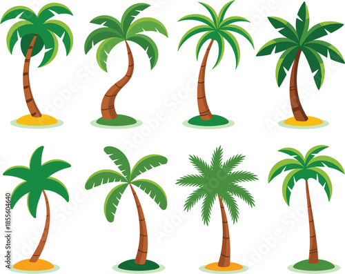 Tropical palm trees vector set, colorful cartoon coconut palms collection for summer travel design projects
