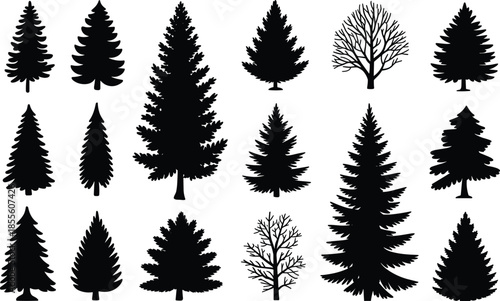 Black pine tree silhouettes collection featuring coniferous forest evergreens spruce fir branches and naked winter trees isolated on white background.