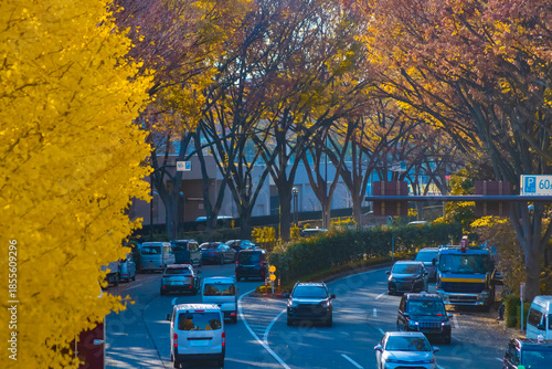 A photography of traffic jam at the yellow gingko street in autumn telephoto shot