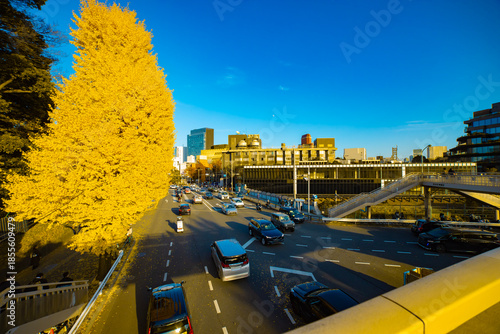 A photography of traffic jam at the yellow gingko street in autumn wide shot