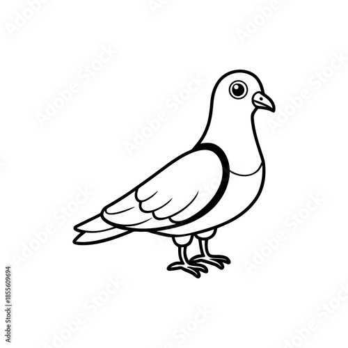Simple black and white line drawing of a pigeon standing, perfect for a coloring book or children's activity.