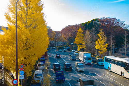 A photography of traffic jam at the yellow gingko street in autumn wide shot