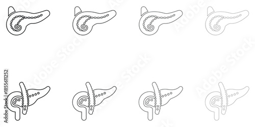 human pancreas line icon vector, pancreas symbol vector outline icon illustration