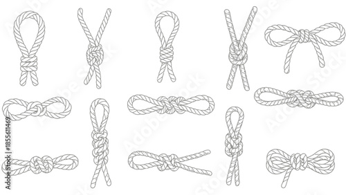 A high-quality stock photo featuring a professional business team collaborating on a digital project within a modern sunlit office environment