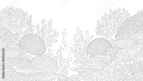 Underwater Line Art Coral and Bubble Detail Ecosystem Scene