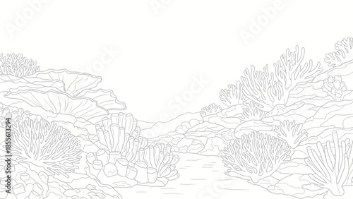Underwater Line Art Coral Valley Landscape Background