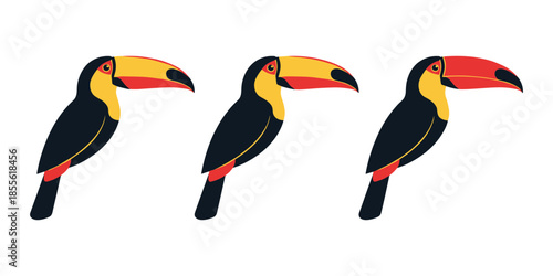 Tropical Toucan Bird Icon Collection with Different Beak Colors for Exotic Jungle Wildlife and South American Rainforest Nature Design